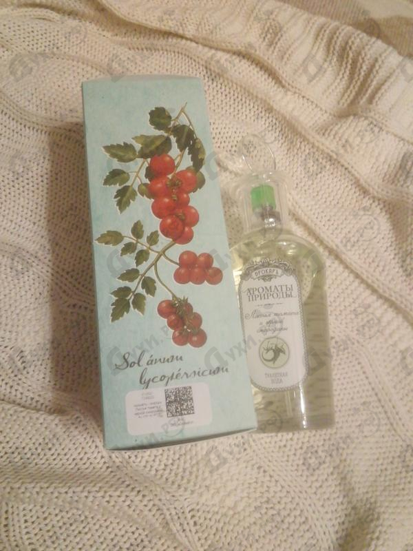 Купить Ароматы природы Листья томата и черной смородины от Brocard Отзыв Brocard Ароматы природы Листья томата и черной смородины