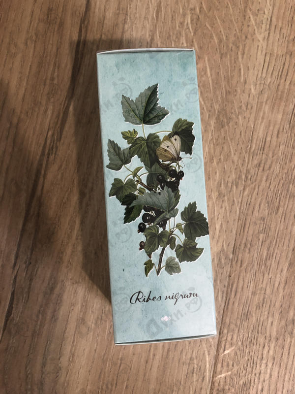 Отзывы Brocard Ароматы природы Листья томата и черной смородины Купить Ароматы природы Листья томата и черной смородины от Brocard