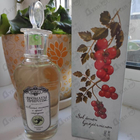 Отзывы Brocard Ароматы природы Листья томата и черной смородины