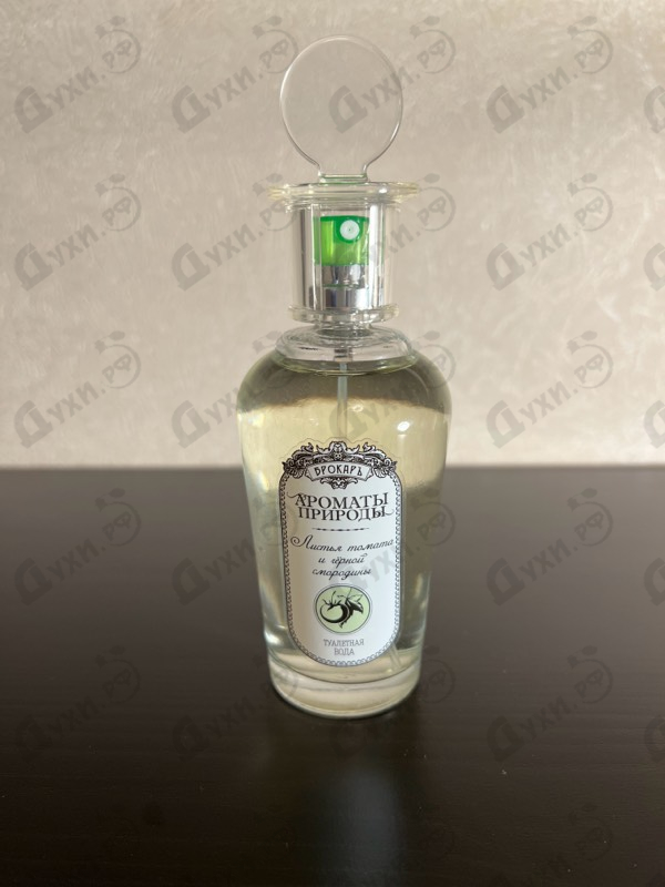 Парфюмерия Ароматы природы Листья томата и черной смородины от Brocard