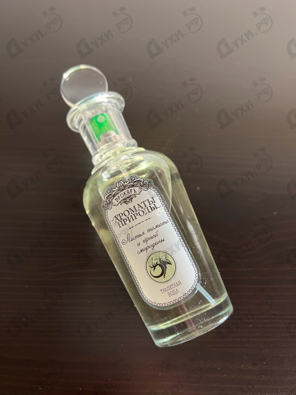 Парфюмерия Ароматы природы Листья томата и черной смородины от Brocard