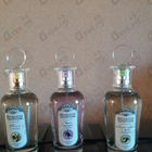 Духи Ароматы природы Листья томата и черной смородины от Brocard