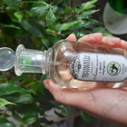 Отзывы Brocard Ароматы природы Листья томата и черной смородины