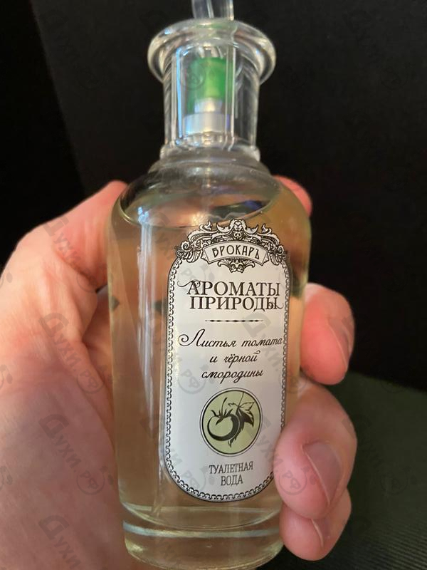 Парфюмерия Brocard Ароматы природы Листья томата и черной смородины Парфюмерия Ароматы природы Листья томата и черной смородины от Brocard