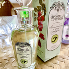 Парфюм Brocard Ароматы природы Листья томата и черной смородины