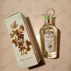 Парфюм Brocard Ароматы природы Листья томата и черной смородины