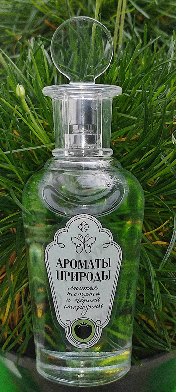 Парфюмерия Ароматы природы Листья томата и черной смородины от Brocard