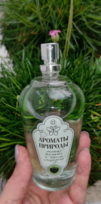 Купить Ароматы природы Листья томата и черной смородины от Brocard