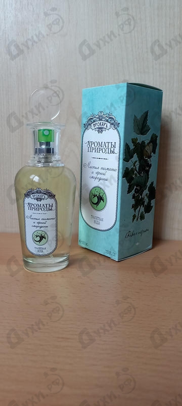 Отзыв Brocard Ароматы природы Листья томата и черной смородины Парфюмерия Ароматы природы Листья томата и черной смородины от Brocard