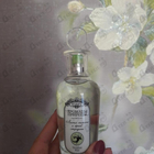 Отзывы Brocard Ароматы природы Листья томата и черной смородины