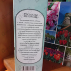 Духи Ароматы природы Листья томата и черной смородины от Brocard