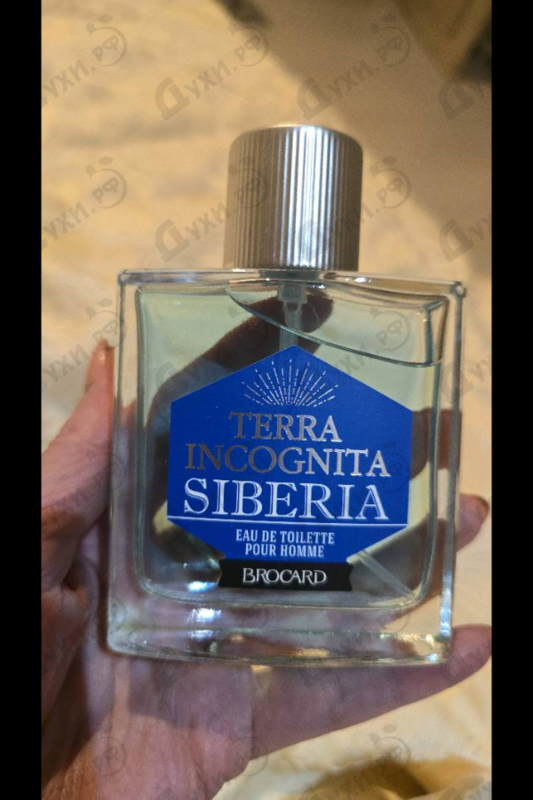 Духи Терра Инкогнита Сибирь от Brocard