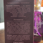 Духи Фрутиссимо Ягодный Сорбет от Brocard