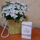 Отзыв Burberry Burberry Her