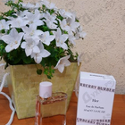 Духи Burberry Her от Burberry