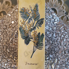 Духи Ароматы природы Тюльпан и Мимоза от Brocard