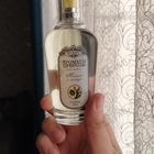 Духи Ароматы природы Тюльпан и Мимоза от Brocard