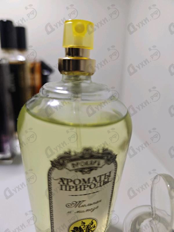 Духи Ароматы природы Тюльпан и Мимоза от Brocard