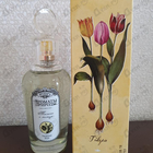 Парфюм Brocard Ароматы природы Тюльпан и Мимоза