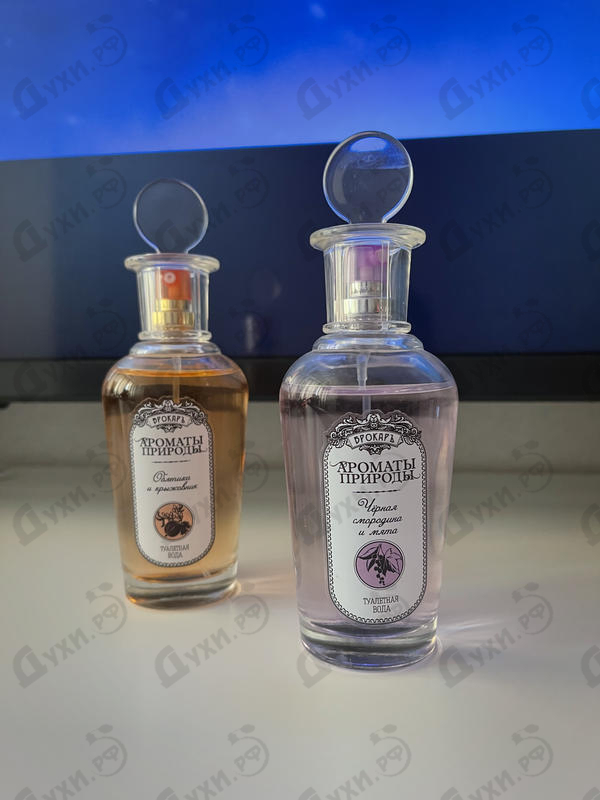 Духи Ароматы природы Облепиха и Крыжовник от Brocard