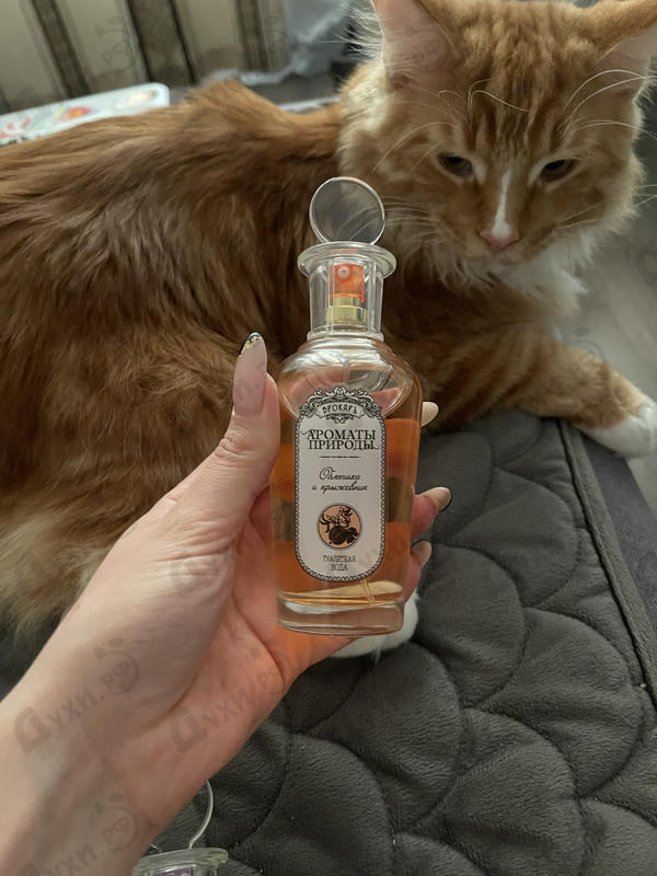 Отзыв Brocard Ароматы природы Облепиха и Крыжовник