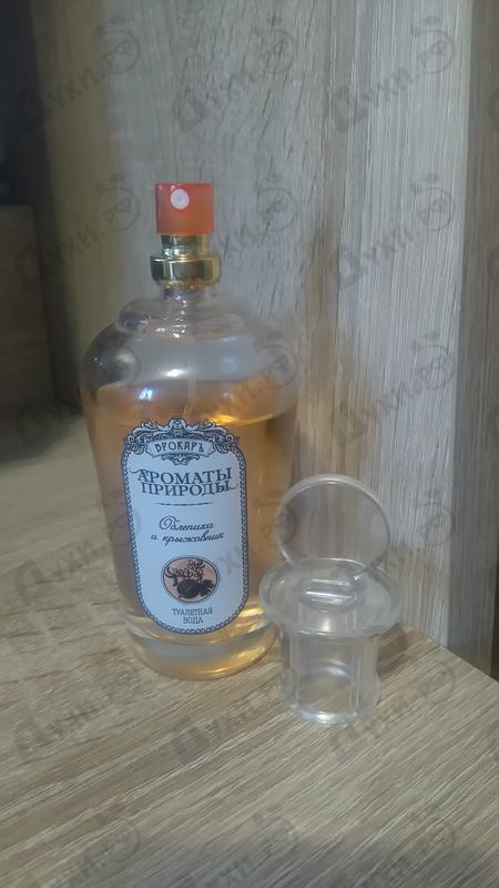 Купить Ароматы природы Облепиха и Крыжовник от Brocard