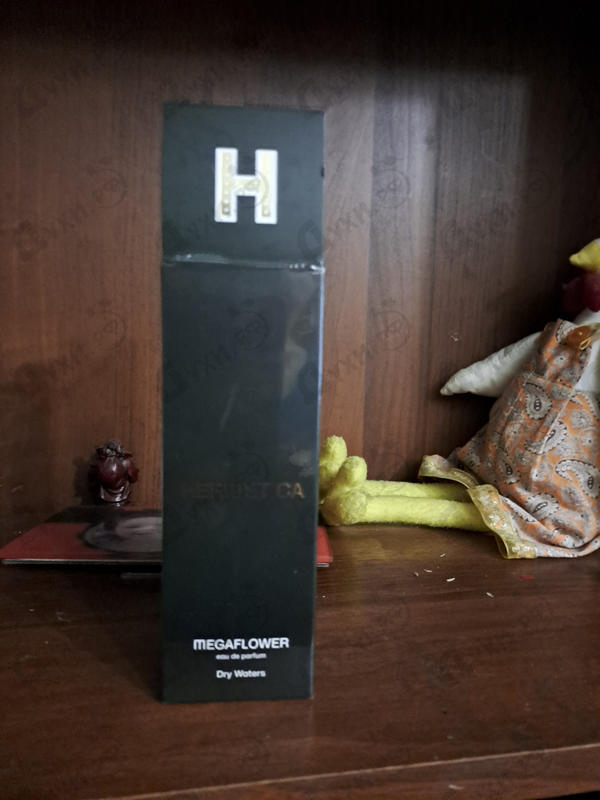 Купить Megaflower от Hermetica