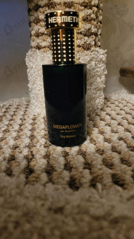 Купить Hermetica Megaflower