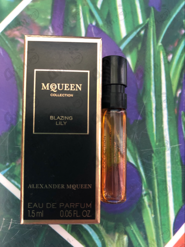 Купить Alexander Mcqueen Blazing Lily