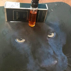 Отзыв Alexander Mcqueen Blazing Lily