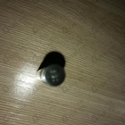 Отзыв Alexander Mcqueen Luminous Orchid