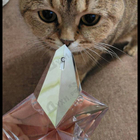 Отзыв Thierry Mugler Angel Eau de Toilette (2019)