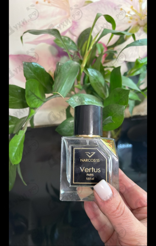 Парфюмерия Narcos'is от Vertus