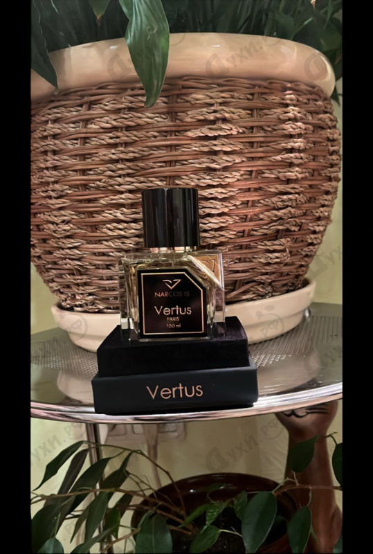 Отзыв Vertus Narcos'is