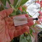 Парфюм Bottega Veneta Parco Palladiano Xiii: Quadrifoglio