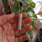 Духи Parco Palladiano Xiii: Quadrifoglio от Bottega Veneta