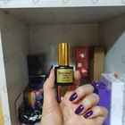 Отзыв Brecourt Contre Pouvoir