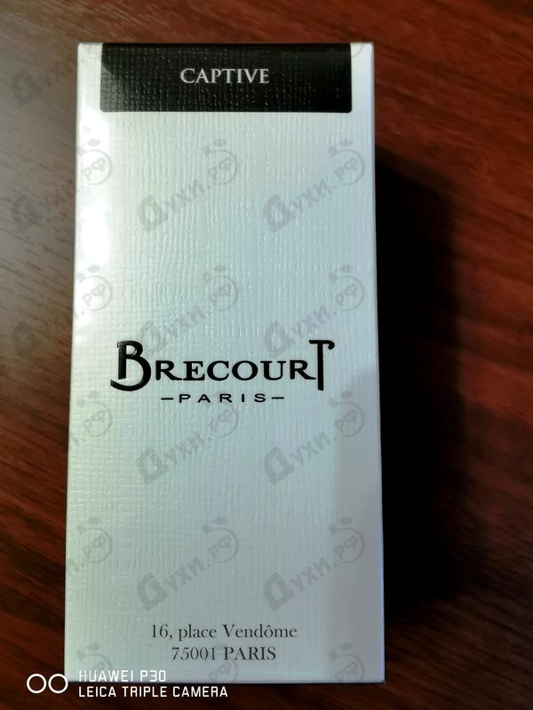 Купить Captive от Brecourt