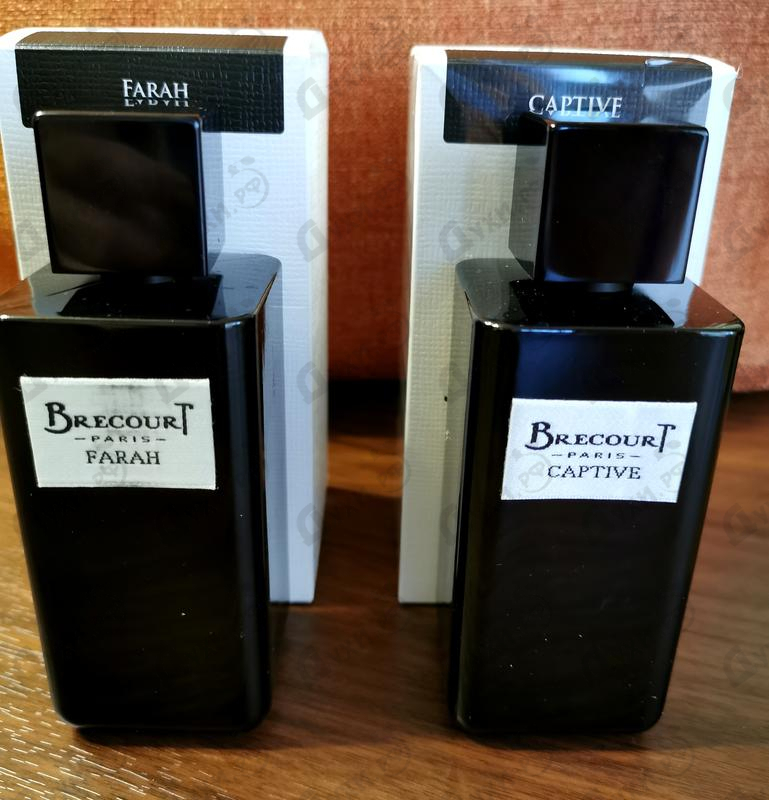 Купить Brecourt Captive Духи Captive от Brecourt