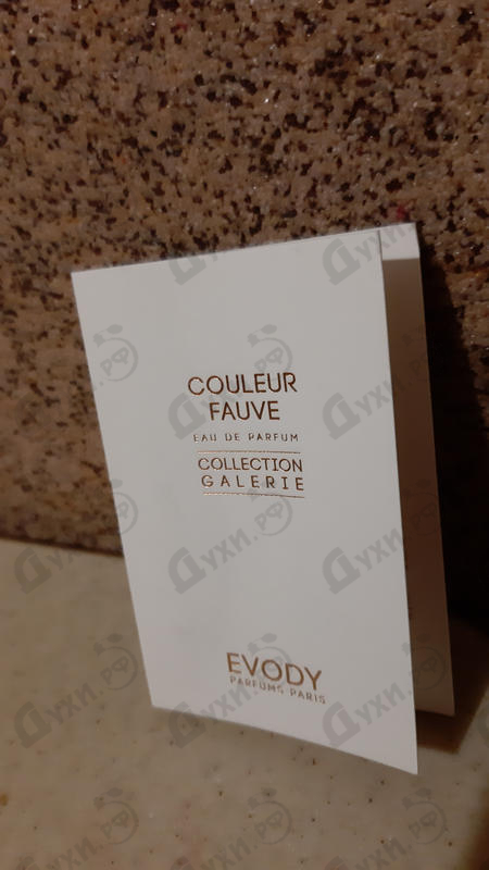 Купить Collection Galerie Couleur Fauve от Evody Parfums