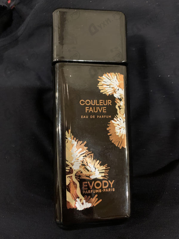 Купить Collection Galerie Couleur Fauve от Evody Parfums