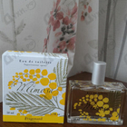 Отзывы Fragonard Mimosa