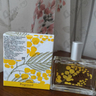 Отзыв Fragonard Mimosa