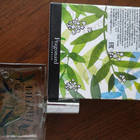 Отзыв Fragonard Verveine