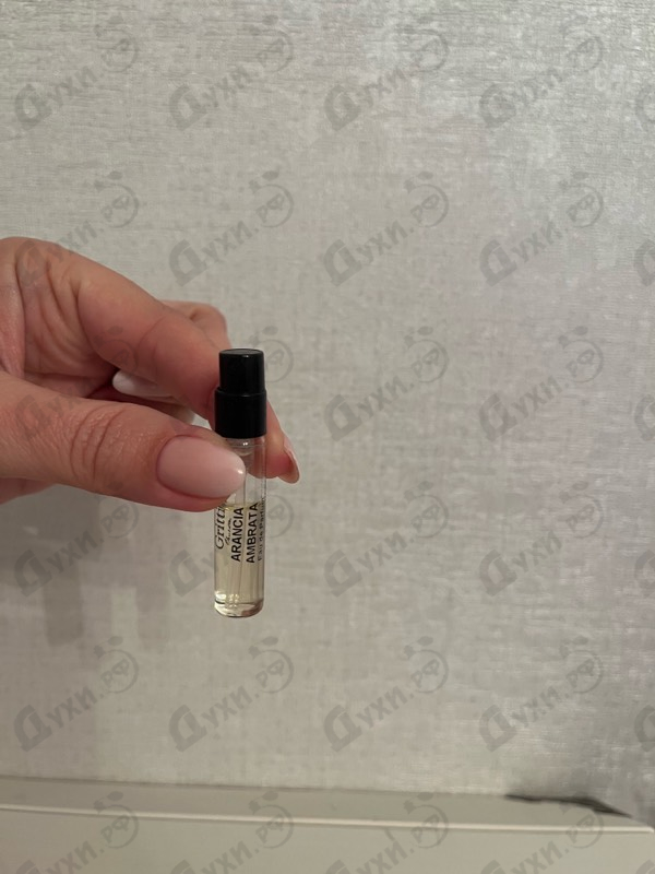 Купить Arancia Ambrata от Gritti