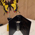 Отзывы Gritti Noctem Arabs