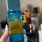 Духи Pomelo Sorrento от Gritti