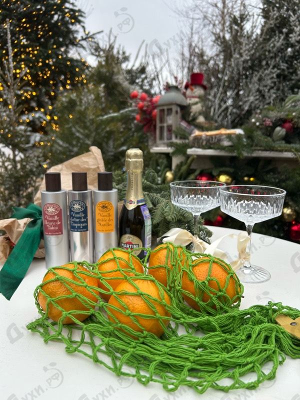 Купить Vanille Divine Des Tropiques от La Maison de la Vanille