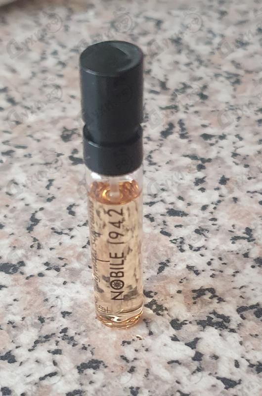 Купить Perdizione от Nobile 1942