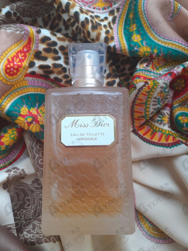 Купить Christian Dior Miss Dior Eau De Toilette Originale